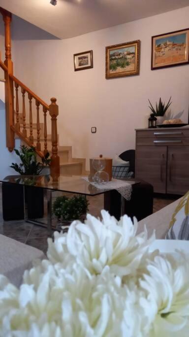 Casa Joana Villa Canyelles  Bagian luar foto